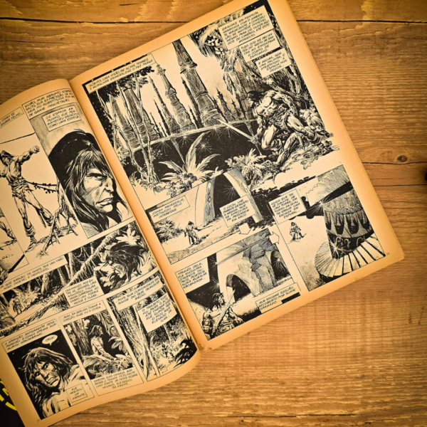 Revista A Espada Selvagem de Conan - Edição n° 29 - Março de 1987
