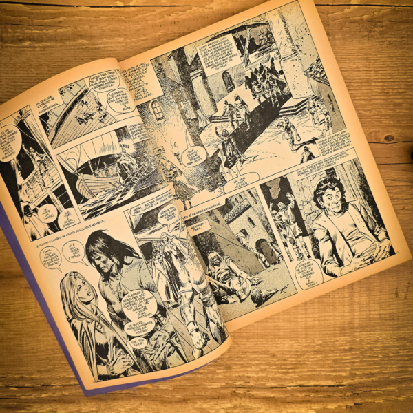 Revista A Espada Selvagem de Conan - Edição n° 25 - Novembro de 1986