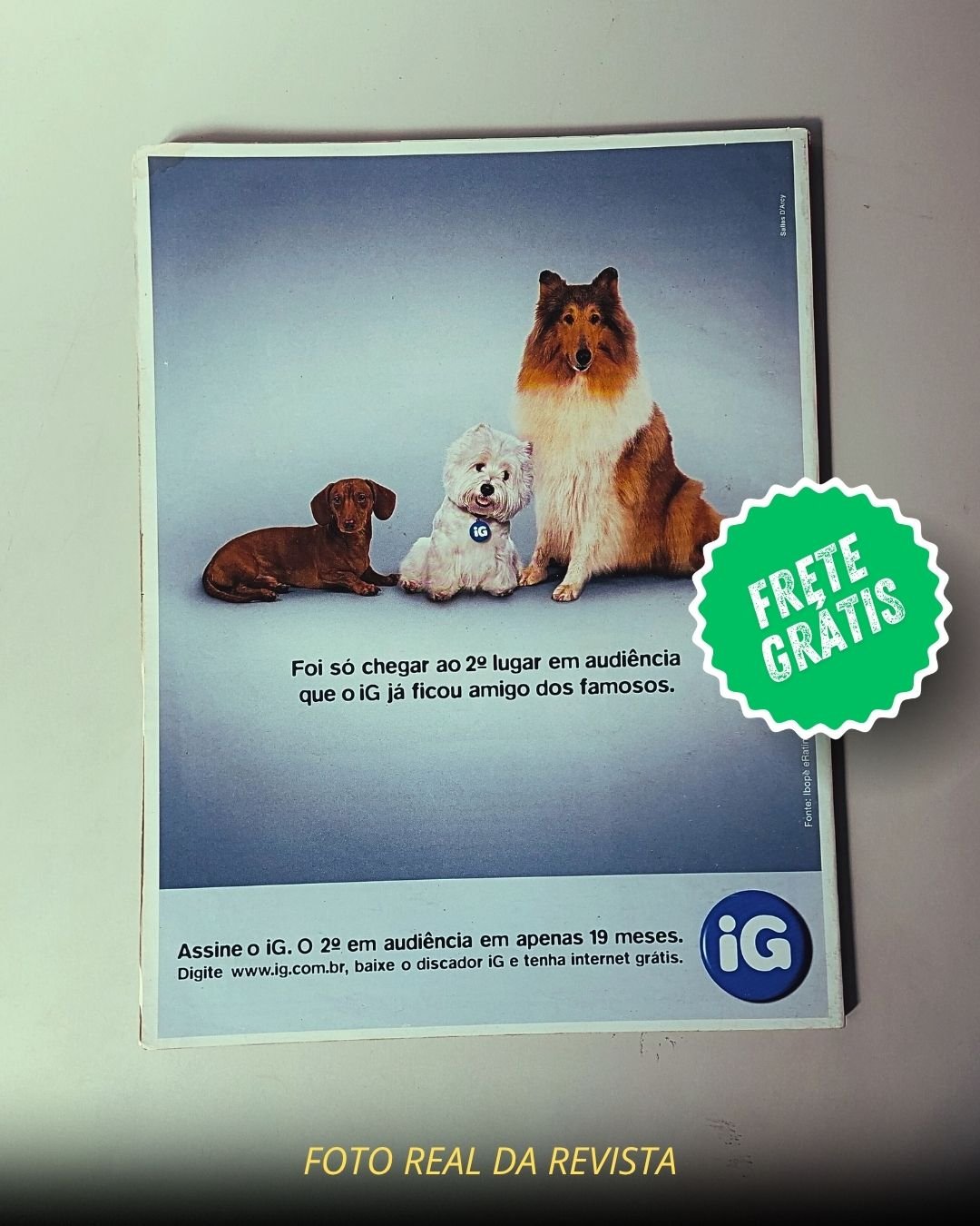 Ellen Rocche Playboy Pelada