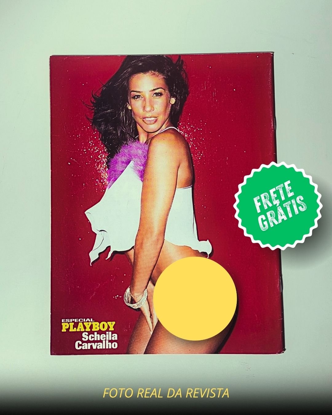 Scheila Carvalho Playboy Especial Pelada