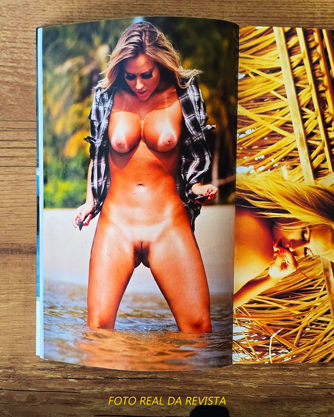 Andressa Ribeiro Playboy 2011 Pelada